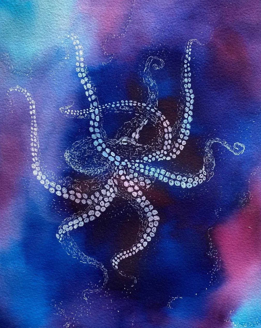 Pul-sos: white octopus in ink and watercolor on a blue and magenta background